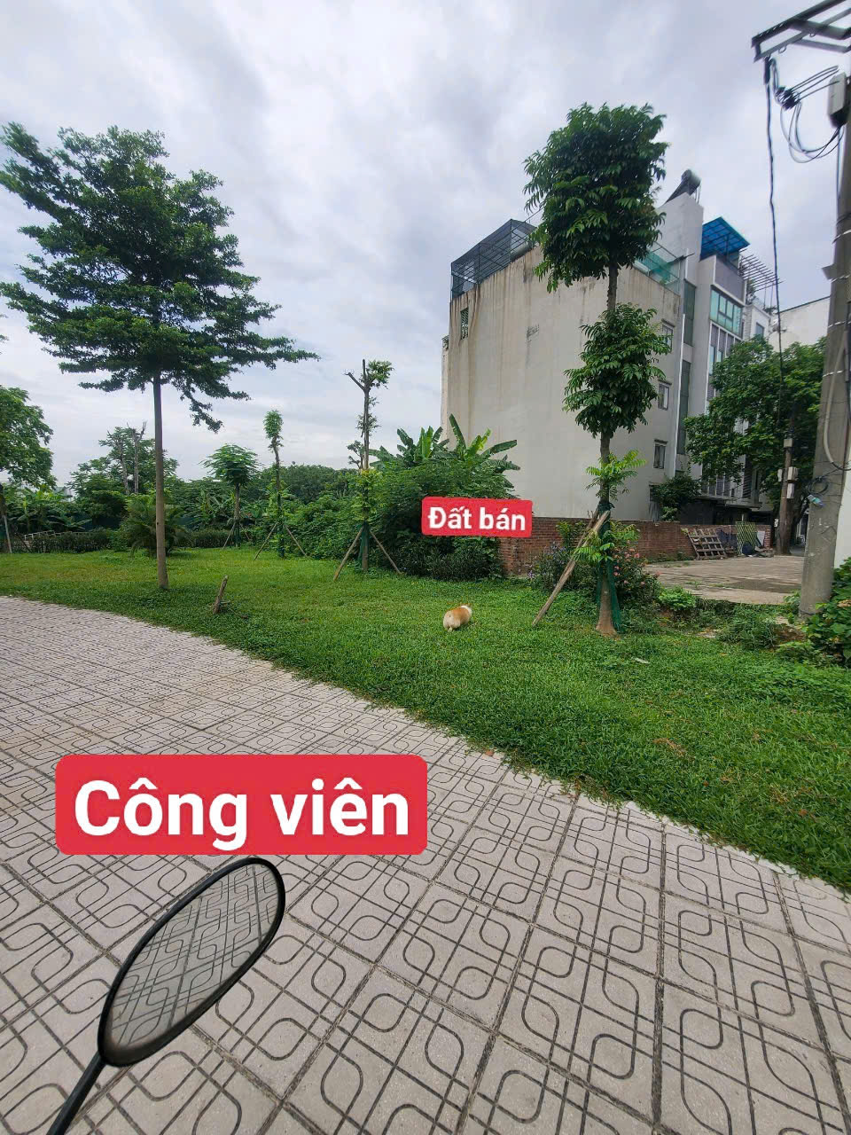 Bán đất Ngọc Thuỵ,Long Biên 107m,mt6m oto tránh,view công viên nhỉnh 24 tỷ - Ảnh 1